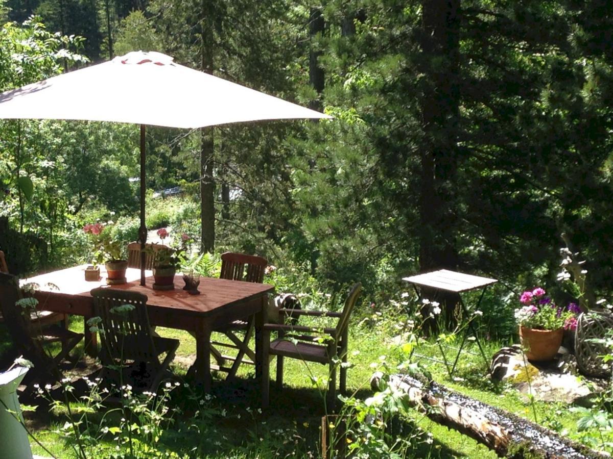 فالورسين The Guest House المظهر الخارجي الصورة